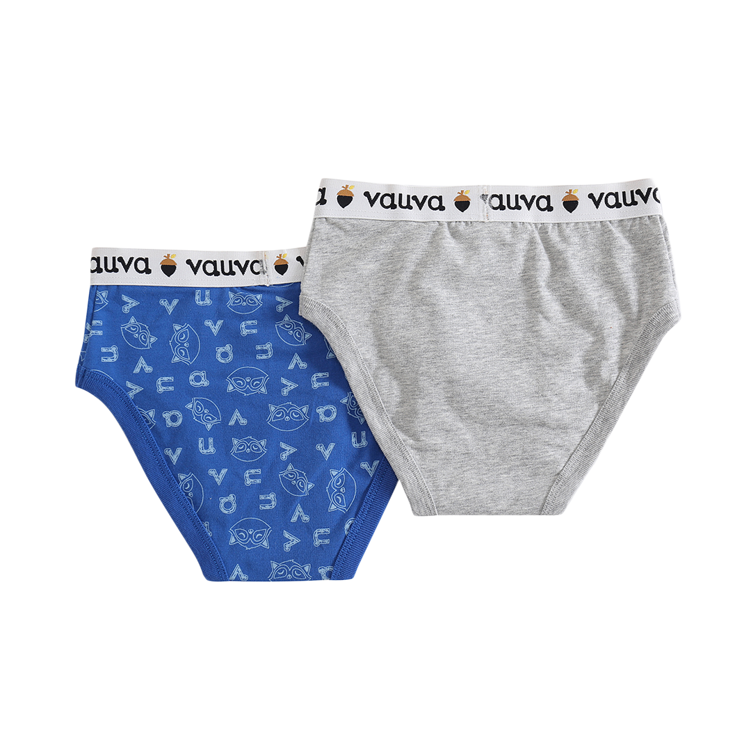 Boys Organic Cotton Underwear / Grey