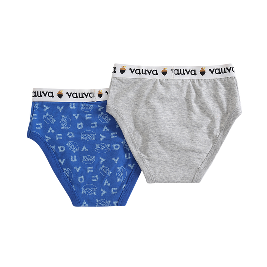 Boys Organic Cotton Underwear / Grey