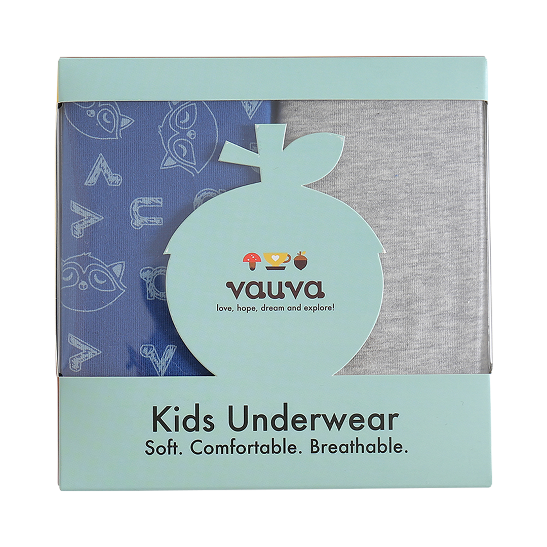 Boys Organic Cotton Underwear / Grey