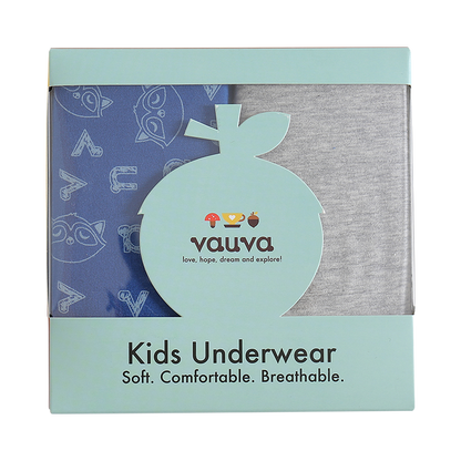 Boys Organic Cotton Underwear / Grey