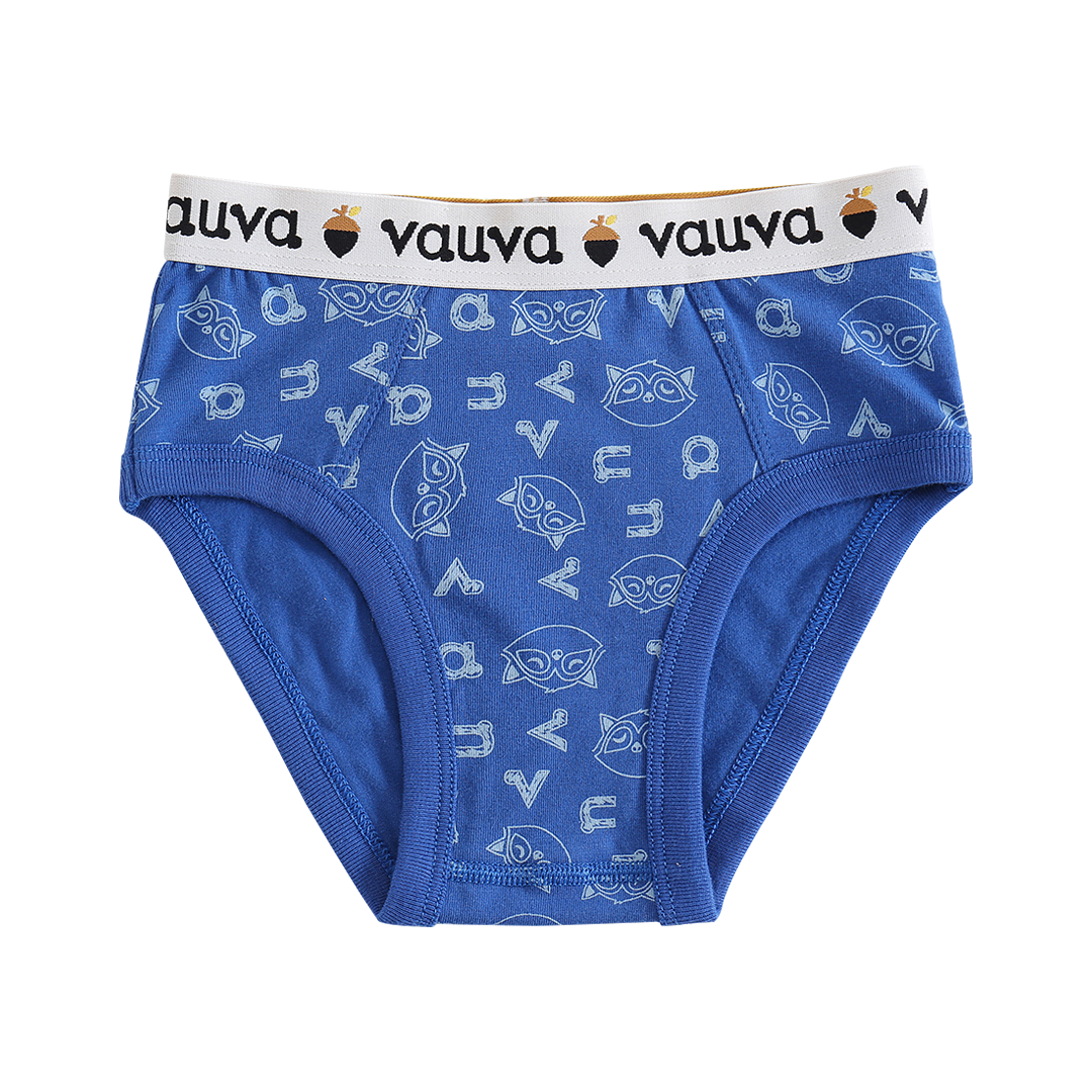 Boys Organic Cotton Underwear / Grey