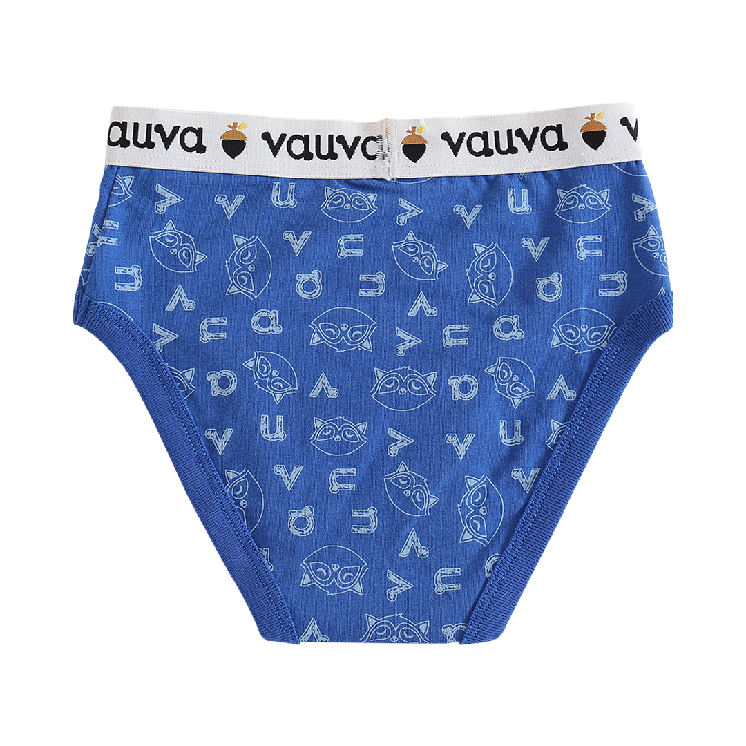 Boys Organic Cotton Underwear / Grey
