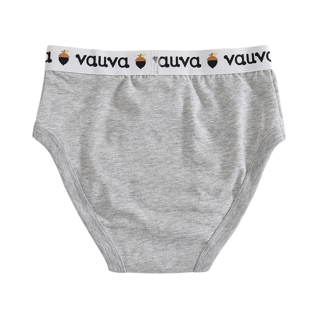 Boys Organic Cotton Underwear / Grey