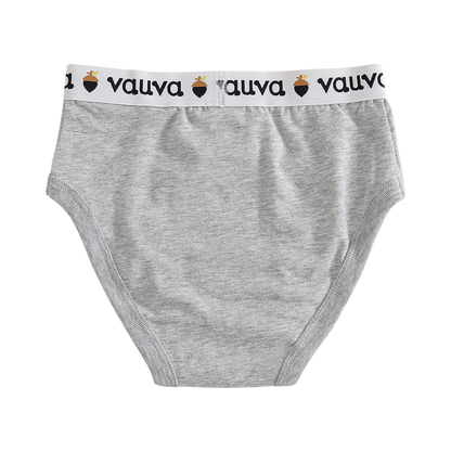 Boys Organic Cotton Underwear / Grey