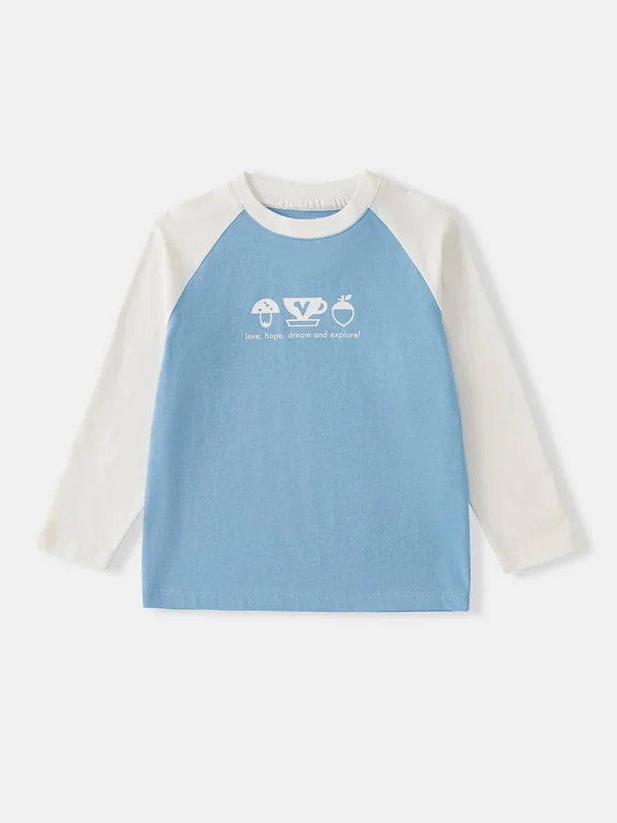 Boys Raglan Sleeve Print Tee, Blue