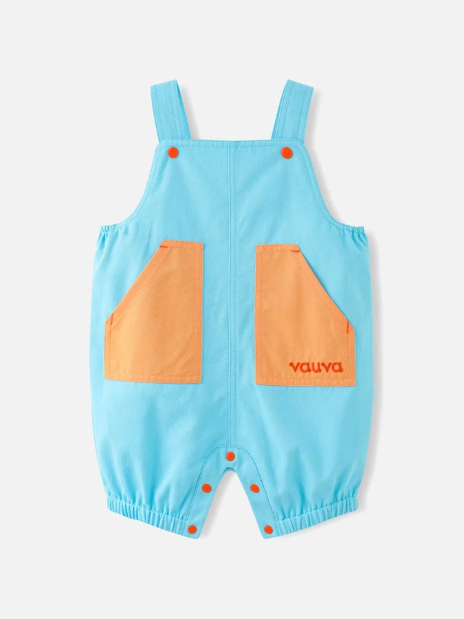 Baby Boys Playful Colourblock Dungarees, Blue