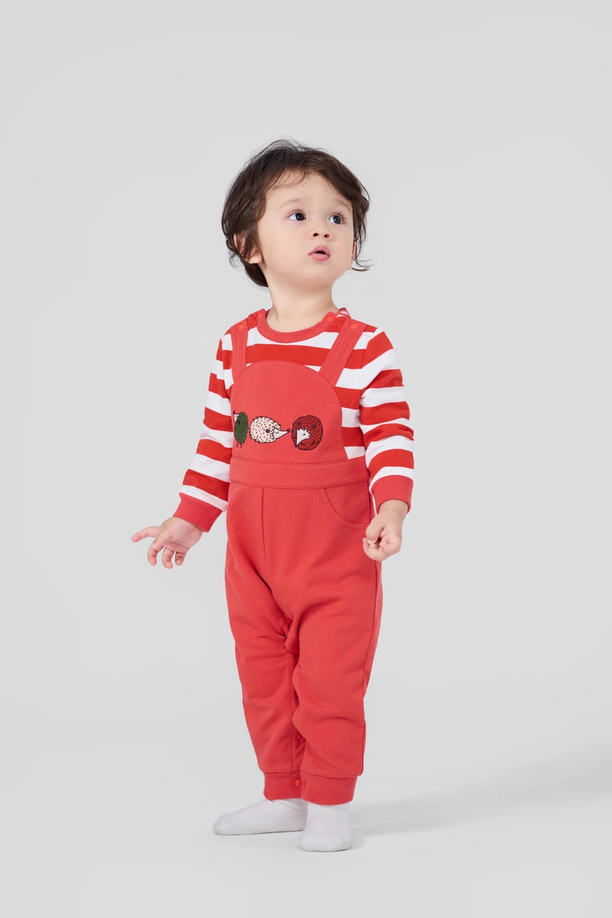Toddler wearing red striped sleeves and red hedgehog overalls.
