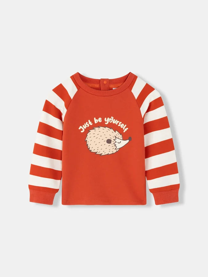 Baby Boys Hedgehog Print Raglan Long Sleeve T-Shirt, Red stripes
